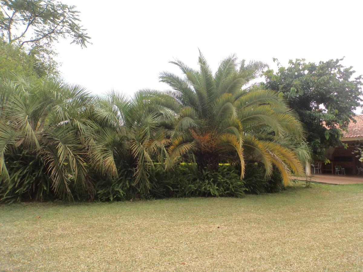 Rosa Cortiana Escalera Homestay