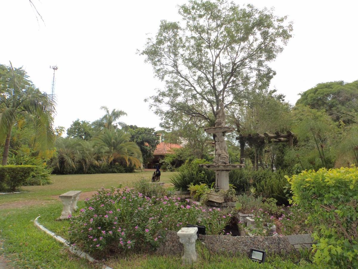 Rosa Cortiana Escalera Homestay Sao Gabriel (Rio Grande do Sul)